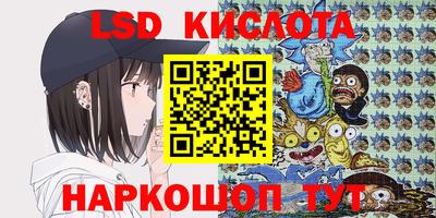 твердый Камышлов