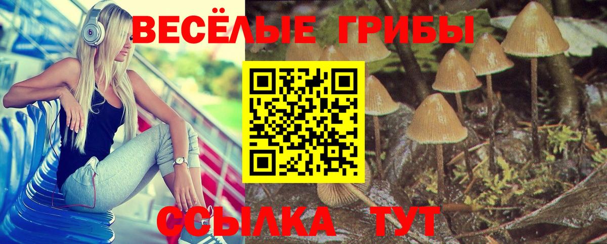 Псилоцибиновые грибы Psilocybine cubensis Кумертау