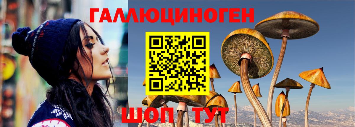 Кумертау  Псилоцибиновые грибы MAGIC MUSHROOMS  Вход с VPN 